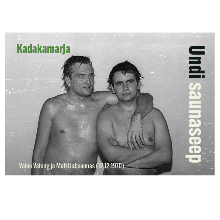 Undiga saunaseep